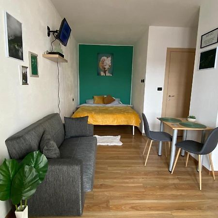 Green Studio Temešvár Exteriér fotografie