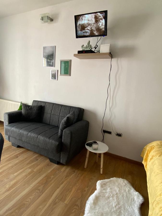 Green Studio Temešvár Exteriér fotografie