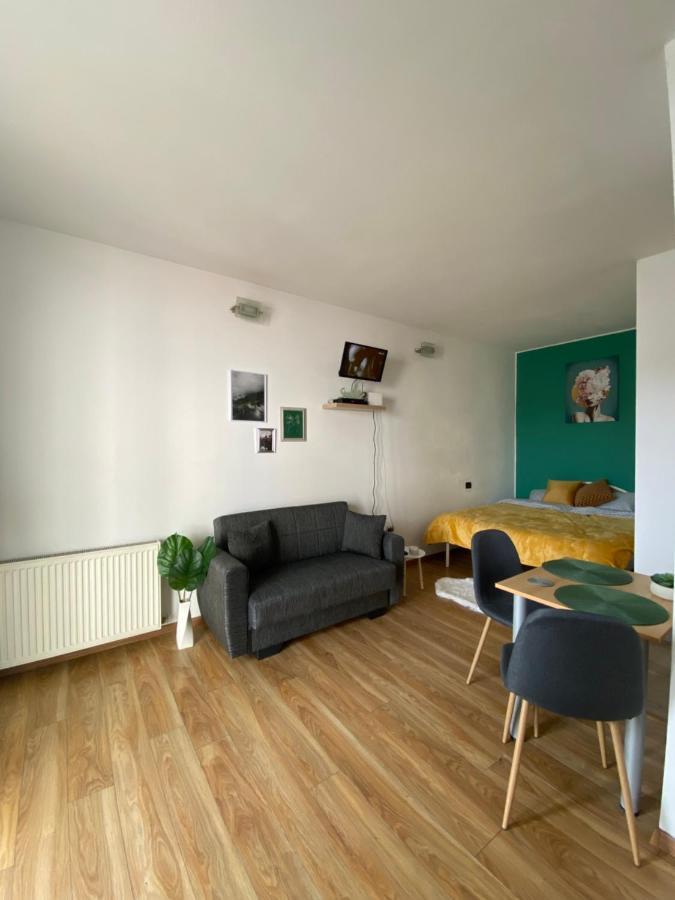 Green Studio Temešvár Exteriér fotografie